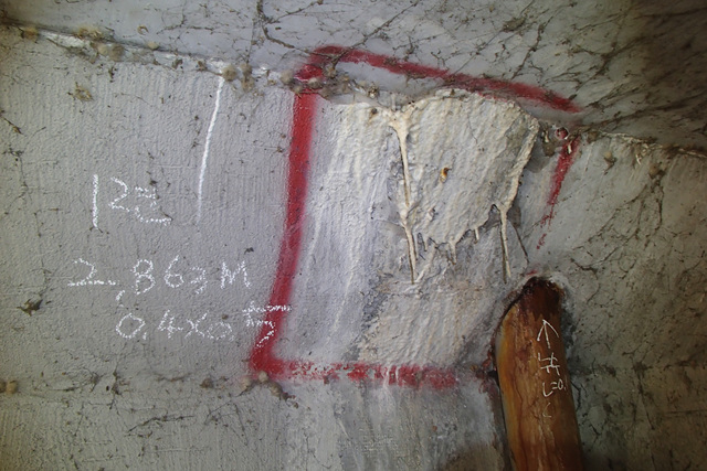 12-1-1(4)백태.jpg